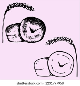 ear and wheat bun vector silhouette and doodle style