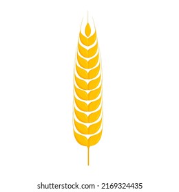 ear of wheat flat logo icon vector Illustration