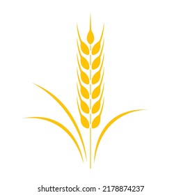 ear of wheat flat logo icon vector Illustration