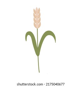 Oreja de trigo, granos en forma de doodle. Flores, elementos botánicos. Prado, flores silvestres y hierbas. La mano dibujó hierba. Elementos de diseño de hierbas florales. Ilustración vectorial botánica de primavera 