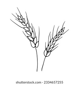 Ear of wheat in hand drawn style for autumn decoration.