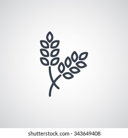 ear of wheat icon