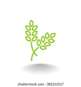 ear of wheat icon
