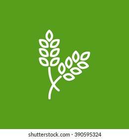 ear of wheat icon