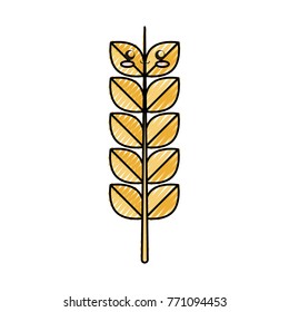 Ear of Wheat icon