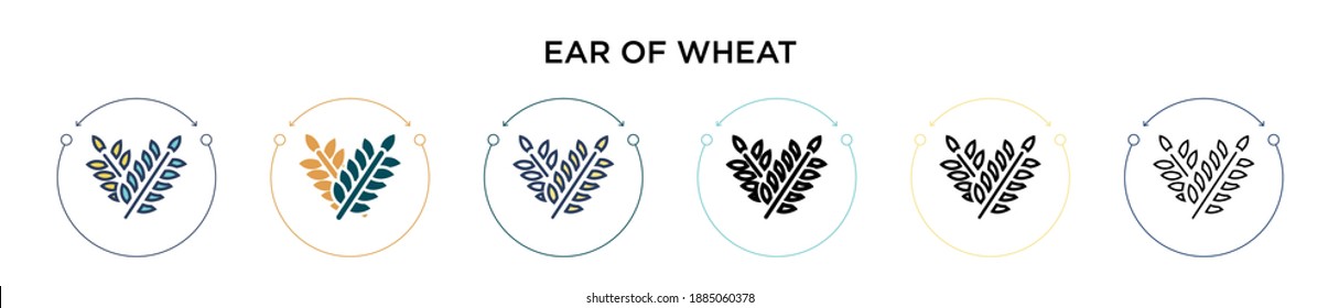 Ear of wheat icon in filled, thin line, outline and stroke style. Vector illustration of two colored and black ear of wheat vector icons designs can be used for mobile, ui, web
