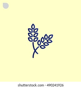  Ear of wheat icon Flat.