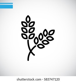  Ear of wheat icon Flat.