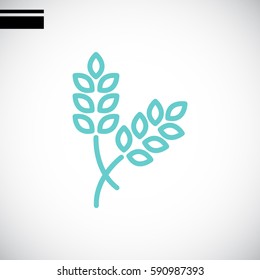  Ear of wheat icon Flat.