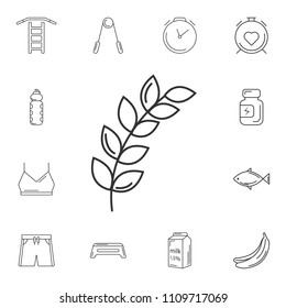 Ear of wheat icon. Simple element illustration. Ear of wheat symbol design from Gym and Health collection set. Can be used for web and mobile on white background