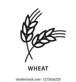 Ear of wheat icon. Using for logo or sign of agriculture product. Simple design. Isolate on white background.