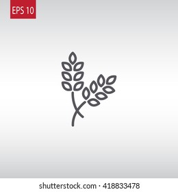 Ear of wheat icon Vector