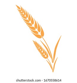 ear of wheat icon vector illustration