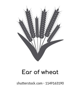 Ear of wheat icon vector isolated on white background for your web and mobile app design, Ear of wheat logo concept