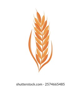 ear of wheat isolated design