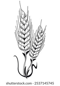 Weizenähren einzeln auf einem Symbol
