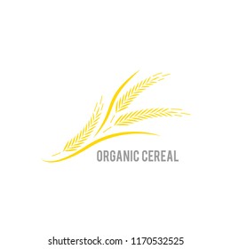 Espiga de trigo sobre fondo blanco. Agricultura orgánica, semillas, plantas y alimentos, carne natural. Concepto para la etiqueta de productos orgánicos, cosecha y agricultura, granos, panadería, alimentos saludables.