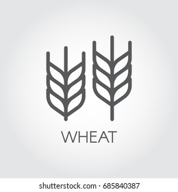 Ear of wheat outline icon. Agriculture and harvest concept. Design element for beer theme, different packaging and products. Vector illustration