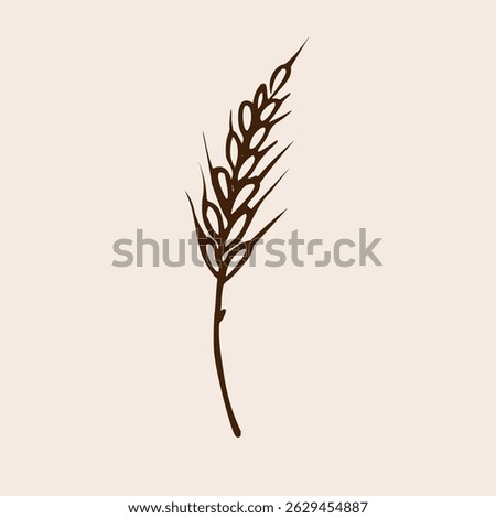 Ear of wheat sketch. Hand drawn dried whole grains. Cereal harvest, agriculture, organic farming, healthy food symbol. Ear of wheat for design, sign, logo. Vector illustration on Isolated background