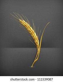 Ear of wheat vector