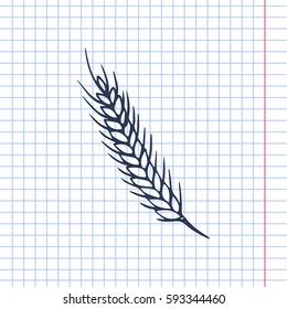 ear of wheat vector doodle illustration
