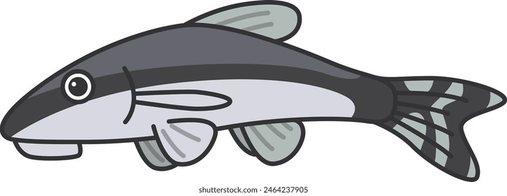 Ilustración vectorial de bagre loricárido