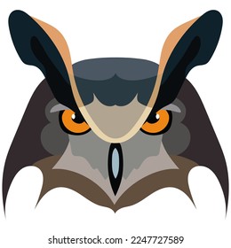 Eared owl. Colored, graphic portrait of an owl on a white background. vector drawing