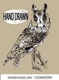 
Eared owl. The owl sits on a dry branch. Professional design in vintage style. Freehand drawing. Drawing with ink, drawing with a pen.