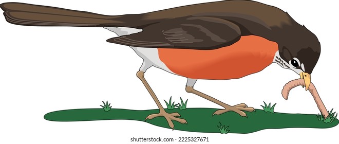 El pájaro temprano obtiene la ilustración del vector de gusano