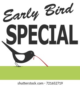 Early Bird Special Discount Poster Design