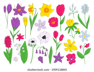Flowers Winter Aconite Stock Illustrations Images Vectors Shutterstock