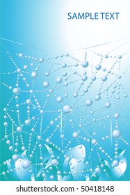 Early dew on web background. vector illustration.