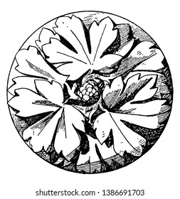 Early Gothic Boss Rosette is made of three divisions, its Designed in 1240, vintage line drawing or engraving illustration.