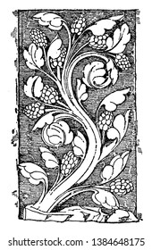 Early Gothic Ornament Vine was a design found in Notre Dame, vintage line drawing or engraving illustration.