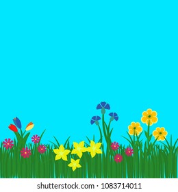 Early Spring flowers isolated on a blue background, grow in gardens, forests and fields. Illustration of nature.