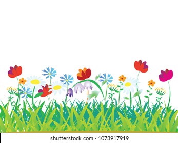 Early spring forest flowers isolated on white