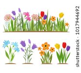 Early spring forest and garden flowers isolated on white vector set. Illustration of nature flower spring and summer in garden