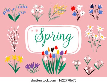 Early spring forest and garden flowers isolated on white vector set. Set of spring bouquets of flowers. Hand drawn illustration. It can be used for invitation, card, cover book, catalog.