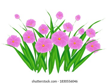 Early spring forest and garden flowers  isolated on white background. Illustration of nature flower spring and summer in garden.
