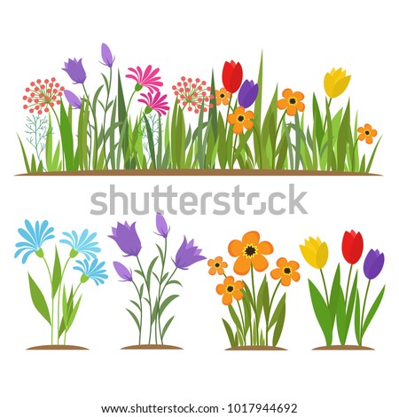 Early spring forest and garden flowers isolated on white vector set. Illustration of nature flower spring and summer in garden
