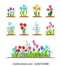 Early spring garden blossom flowers, grass isolated on white. Spring nature plant set. Simple garden flower bouquet in summer time. Vector illustration design