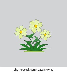 Early spring garden flower with grass and flowers, isolated on gray vector set.Drawing spring and summer in nature, vector illustration EPS10
