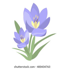 Early spring purple crocus and snowdrops nature beauty flowers vector. Crocus snowdrops flower color and purple crocus bouquet petal natural bloom. Purple crocus and snowdrops.