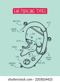 Ear-piercing diagram. Top different types of ear-piercing trendy positions