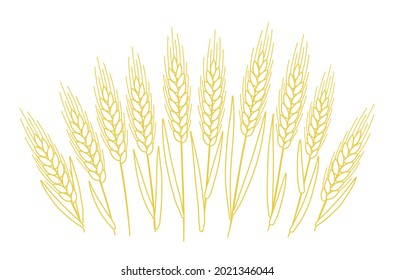 Ears of cereal. Bread or flour label wrapper. Agriculture straw. Dry yellow grass. Contour vector line.