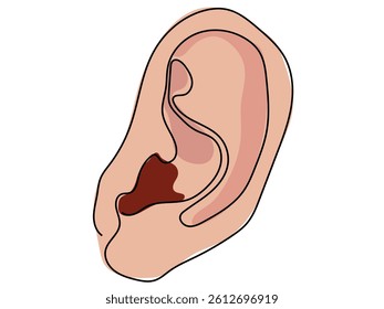 Ears in continuous line drawing on a white background.