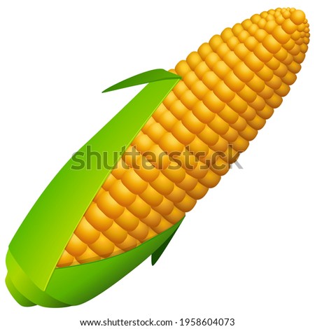 Ears of corn with leaves