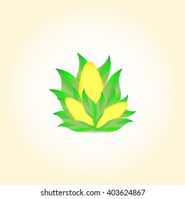 ears of corn with leaves on a light background