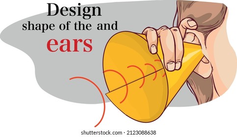 Ears Do Their Design, Size and Shape Matter?