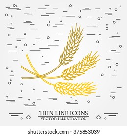 Ears of grain thin line design.  Vector illustration.